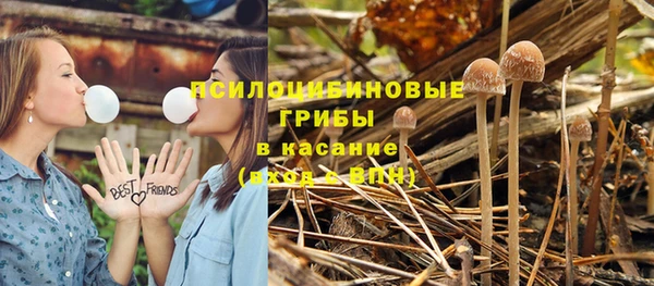 не бодяженный Снежногорск
