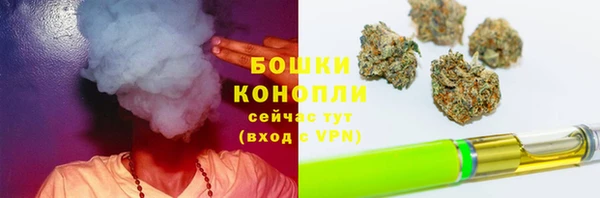PSILOCYBIN Волоколамск