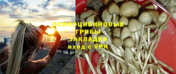 PSILOCYBIN Волоколамск