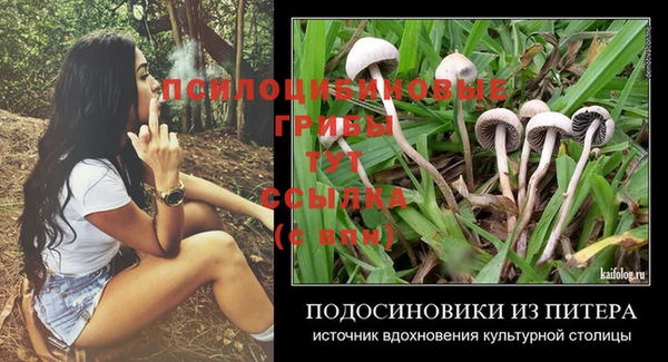 PSILOCYBIN Волоколамск
