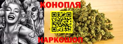 прущие крисы Донской