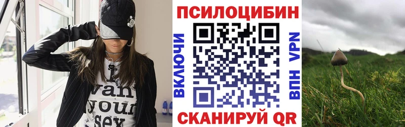 купить сайты Муром Галлюциногенные грибы прущие грибы