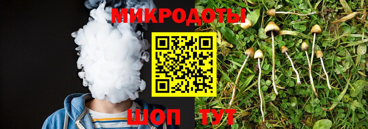 Муром  Галлюциногенные грибы мухоморы  Вход с VPN 