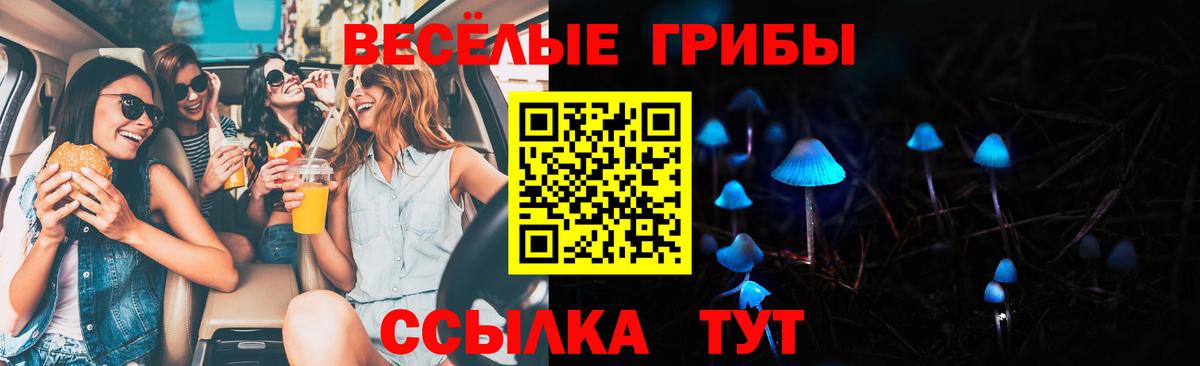 Псилоцибиновые грибы Cubensis Муром